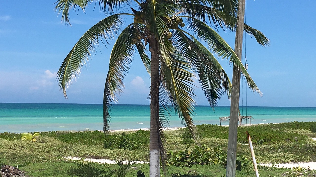 Photo of Outdoor in El Cuyo