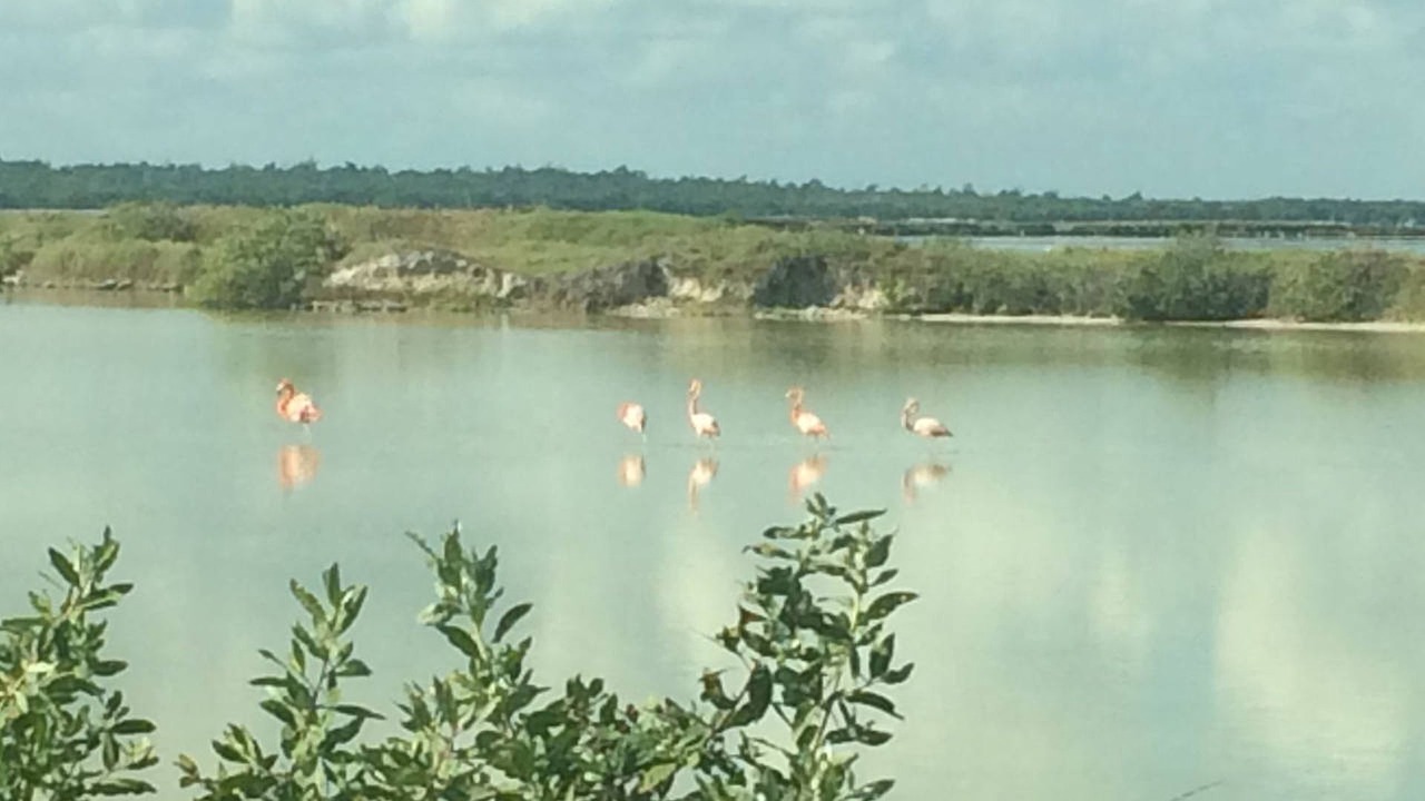 Photo of Outdoor in El Cuyo