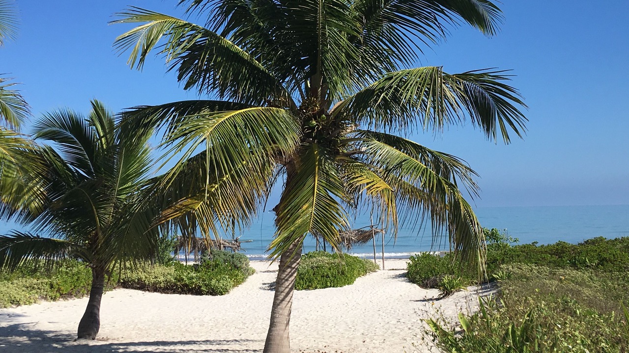 Photo of Outdoor in El Cuyo