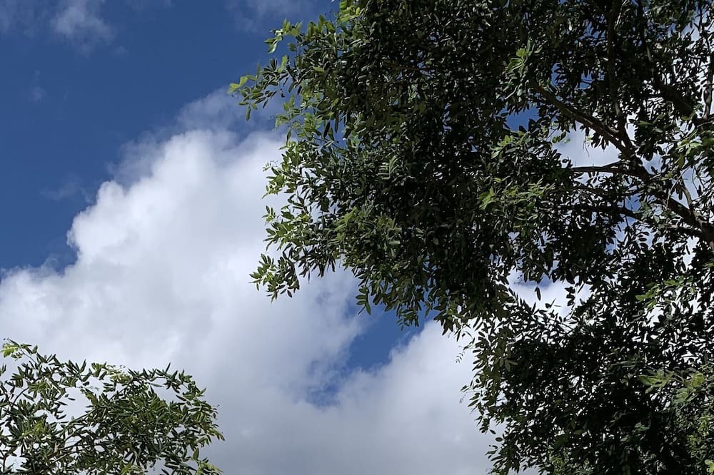 Photo of Outdoor in Luis Donaldo Colosio
