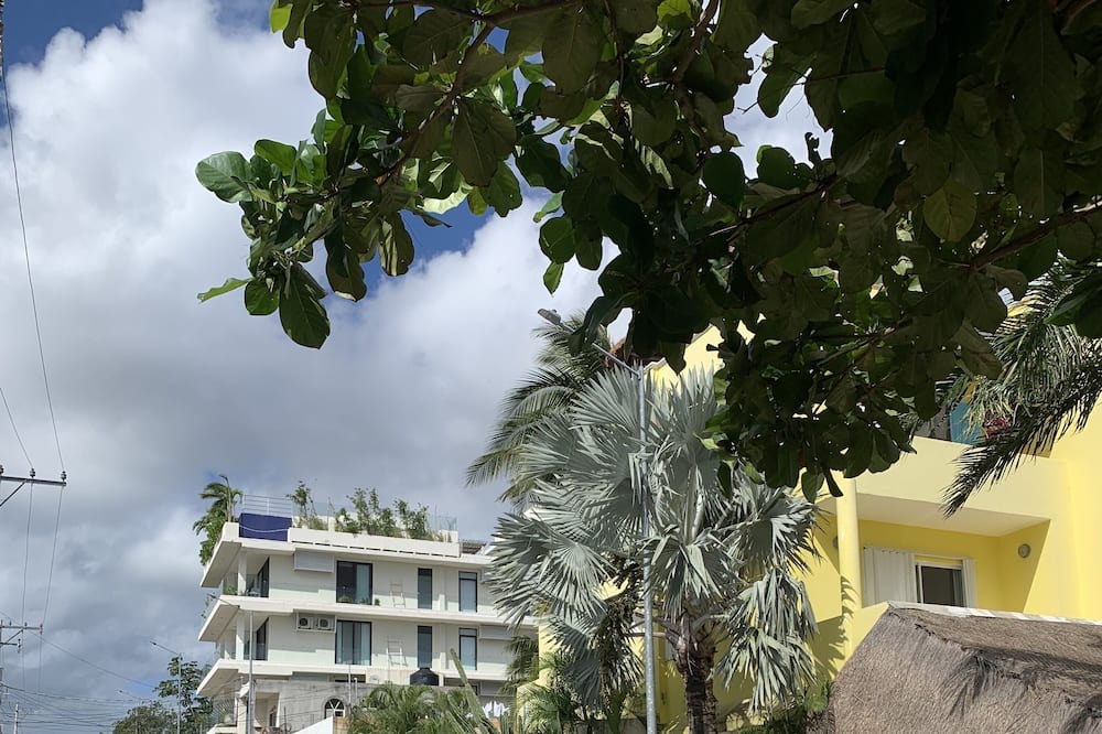 Photo of Outdoor in Luis Donaldo Colosio