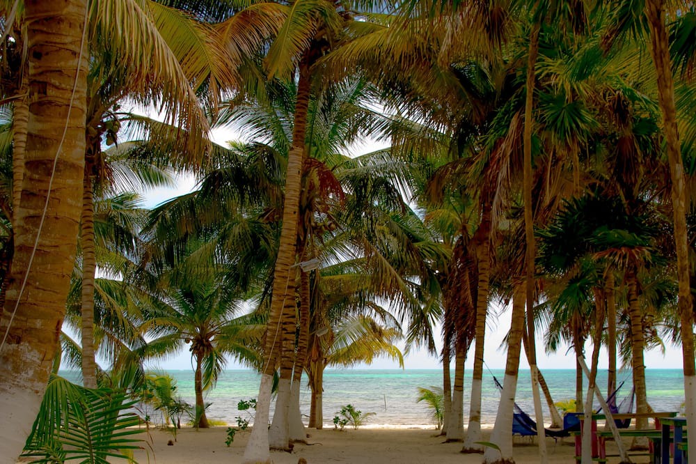 Photo of Others in Punta Allen