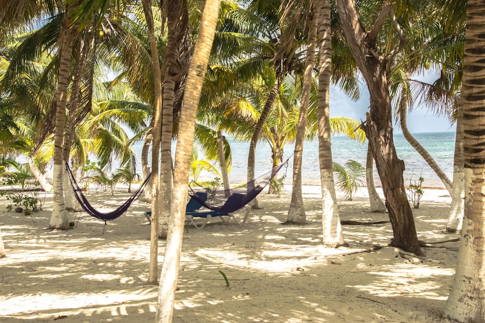 Photo of Others in Punta Allen