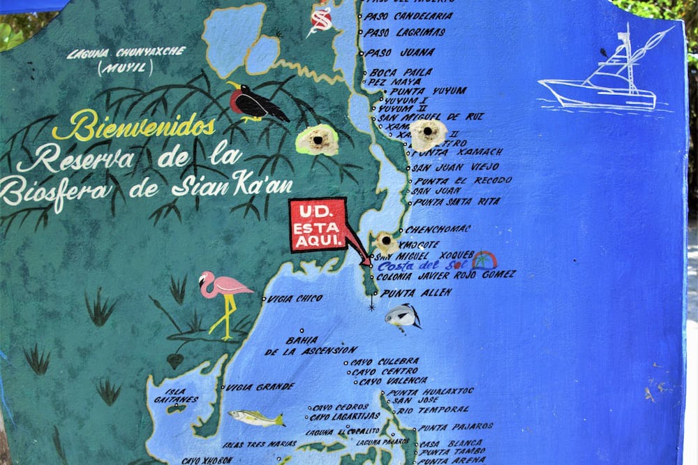 Photo of Others in Punta Allen