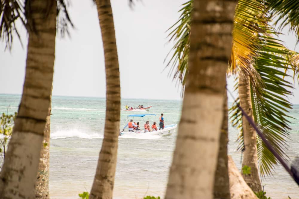 Photo of Others in Punta Allen