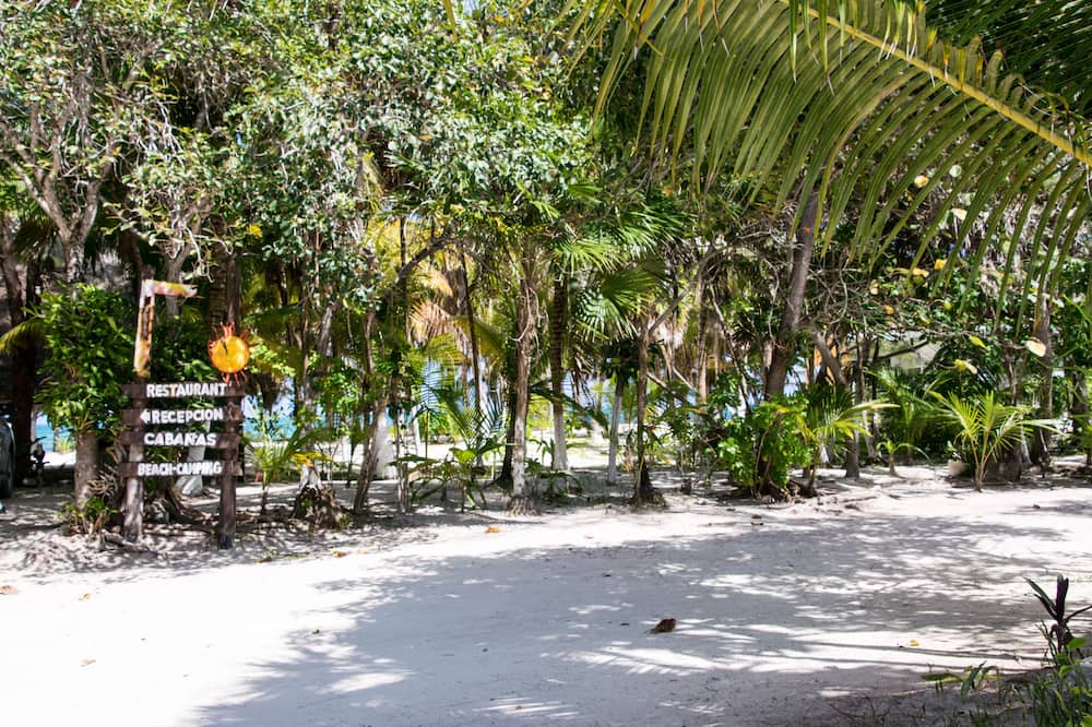 Photo of Others in Punta Allen