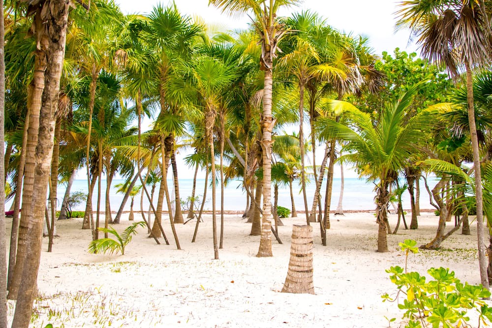 Photo of Others in Punta Allen