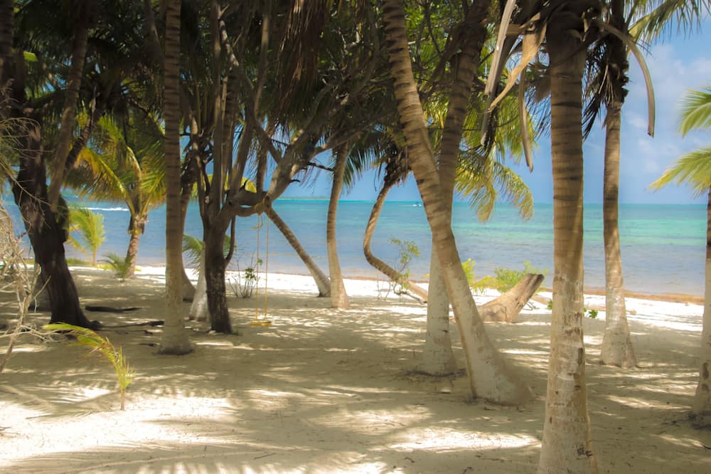 Photo of Others in Punta Allen