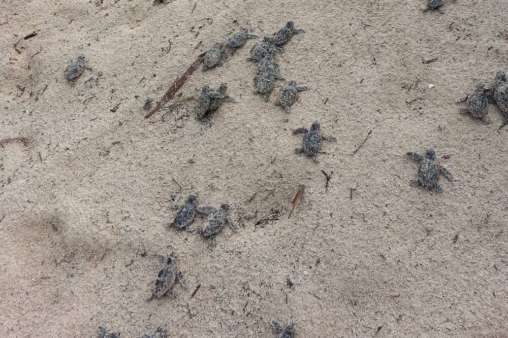 Photo of Others in Soliman Bay