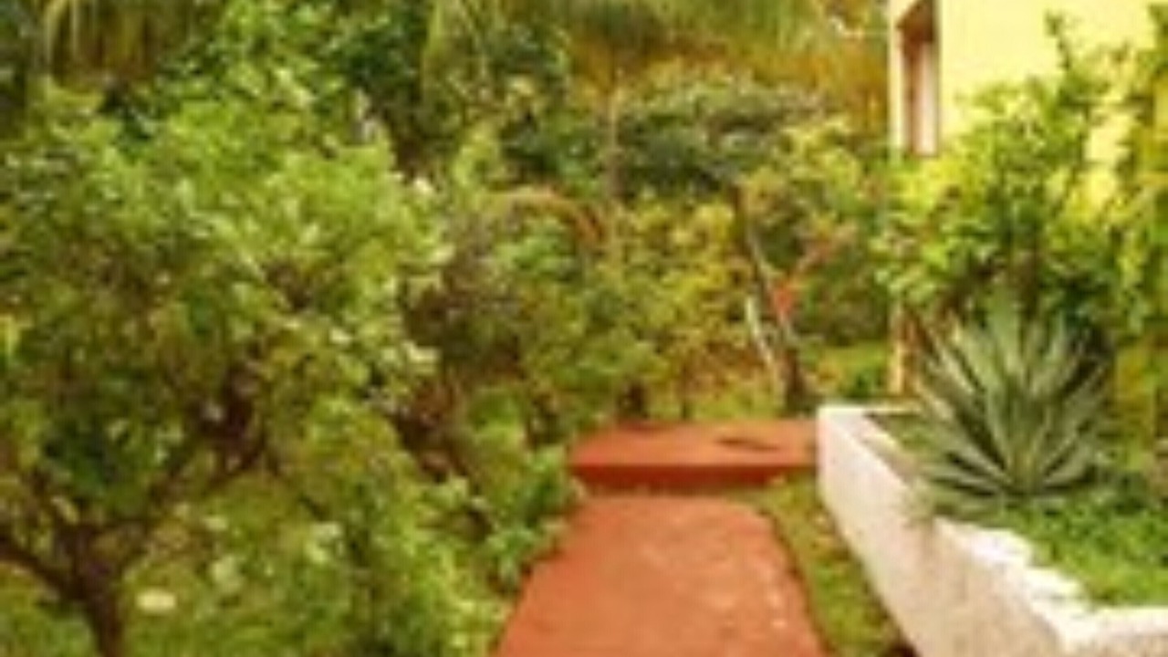Photo of Outdoor in Punta Sam