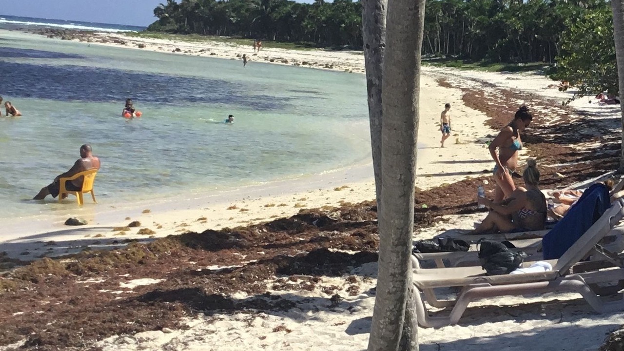 Photo of Others in Punta Sam