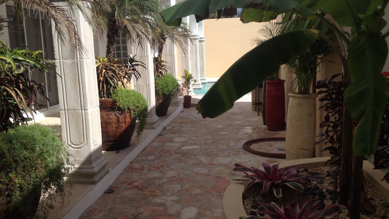 Photo of Outdoor in Chuburna Puerto
