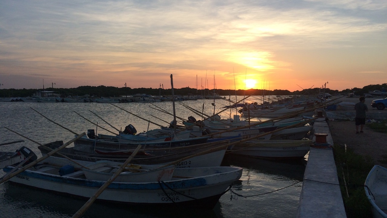 Photo of Others in Chuburna Puerto