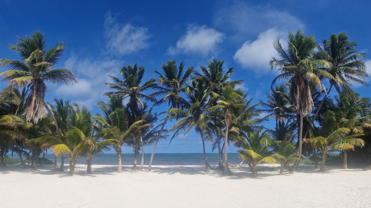 Photo of Others in Mahahual