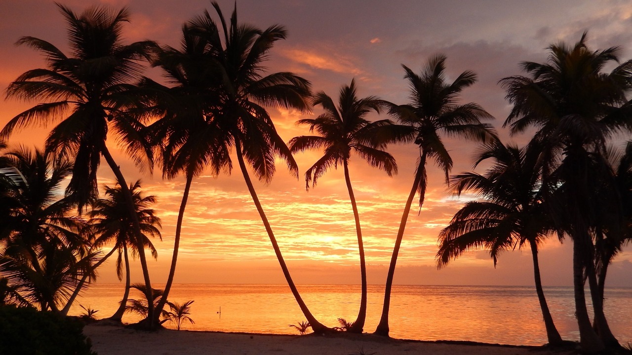 Photo of Others in Mahahual