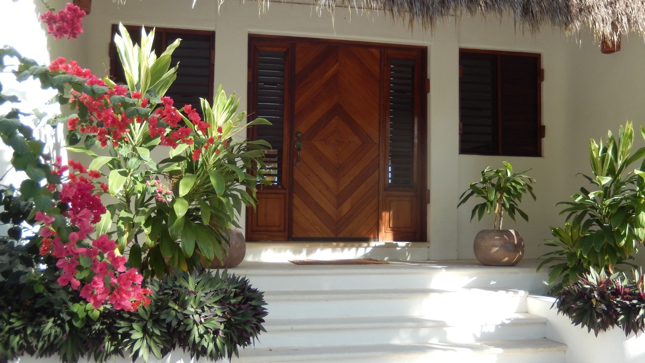 Photo of Outdoor in Mahahual