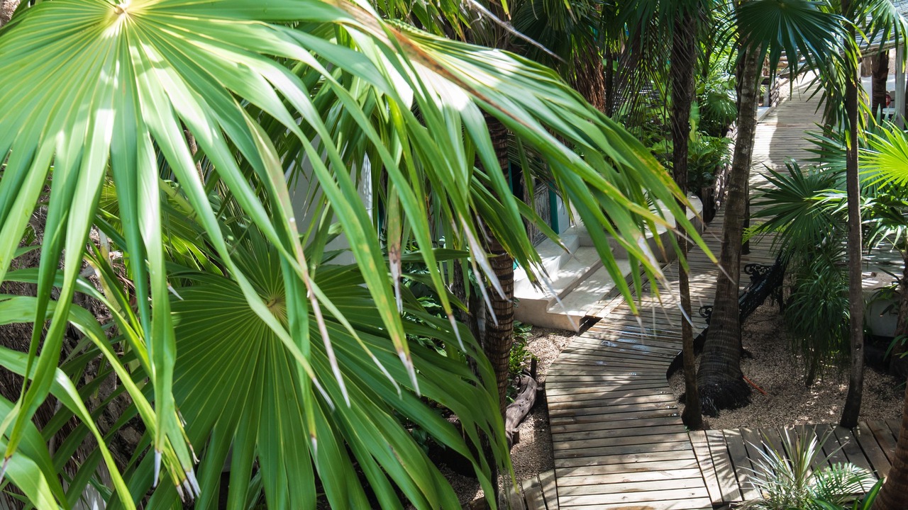 Photo of Outdoor in Zona Hotelera