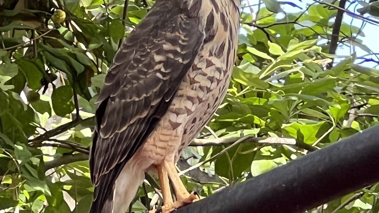Photo of Outdoor in Benito Juarez