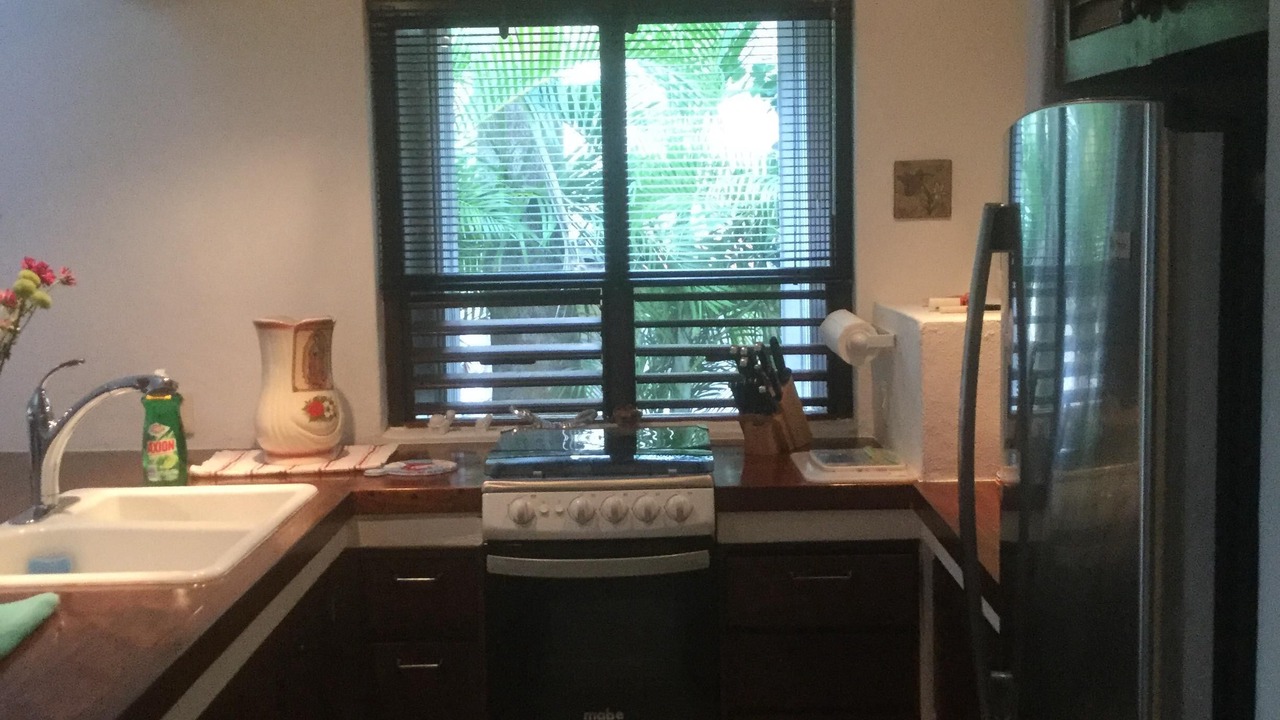 Photo of Kitchen in Playacar Fase I