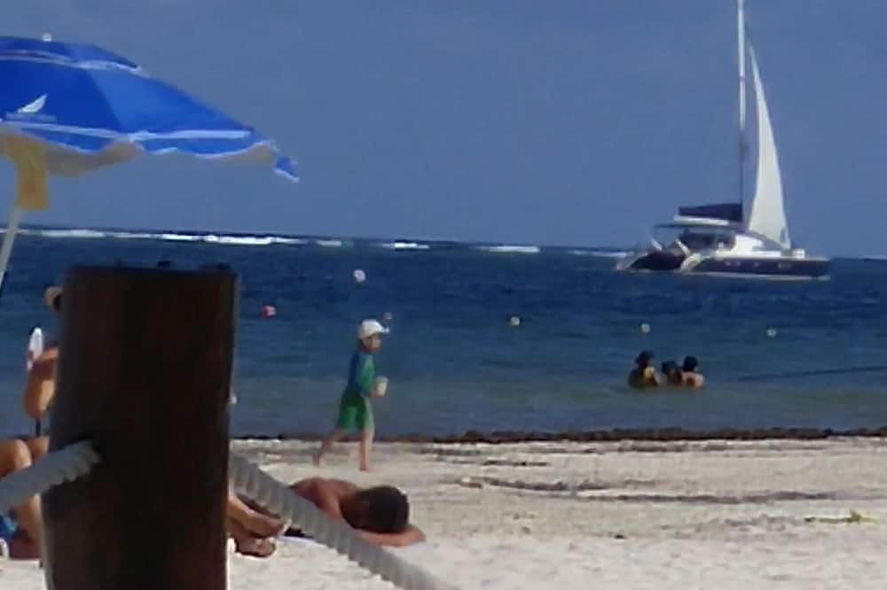 Photo of Others in Puerto Morelos