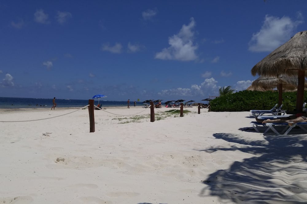Photo of Others in Puerto Morelos