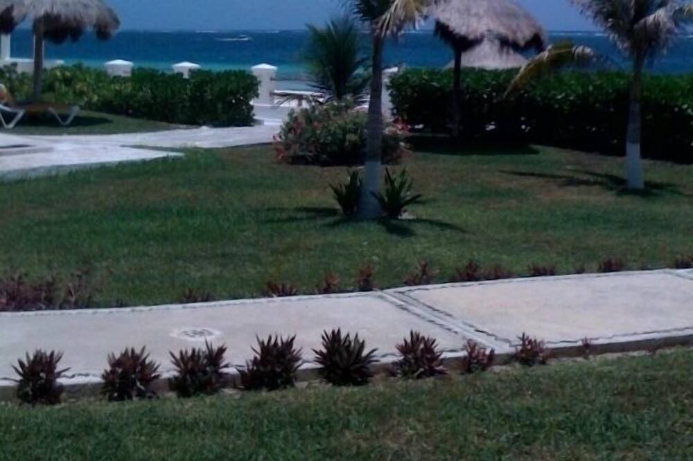 Photo of Others in Puerto Morelos