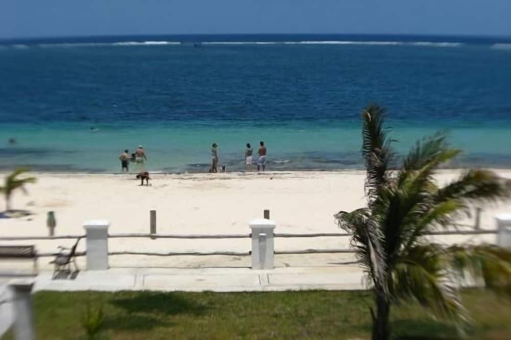 Photo of Others in Puerto Morelos