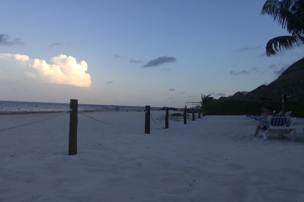 Photo of Others in Puerto Morelos