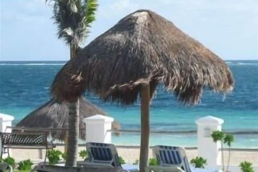 Photo of Others in Puerto Morelos