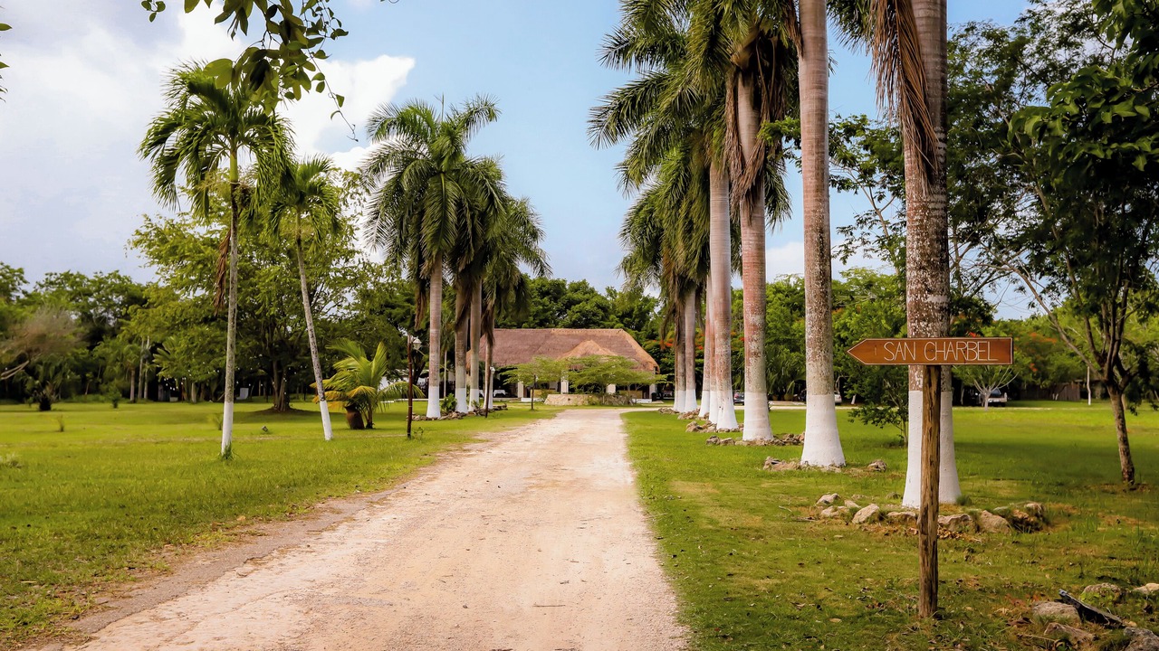 Photo of Outdoor in Chetumal
