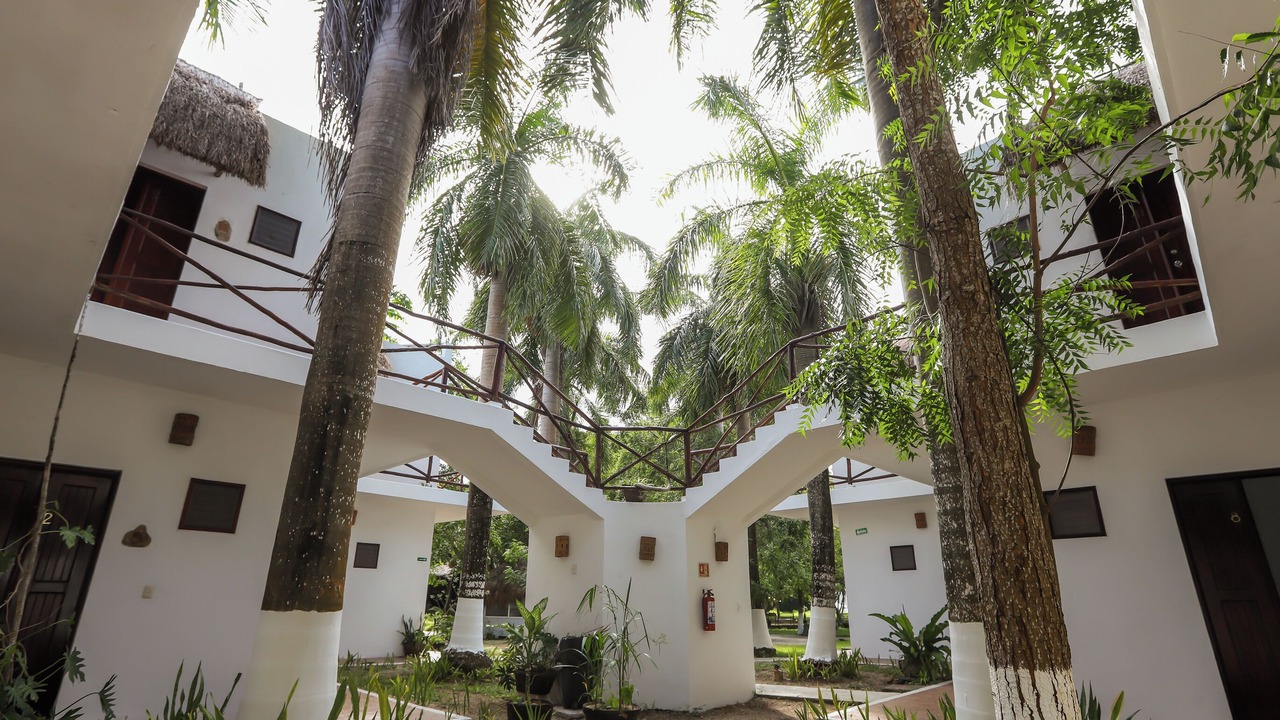 Photo of Others in Chetumal