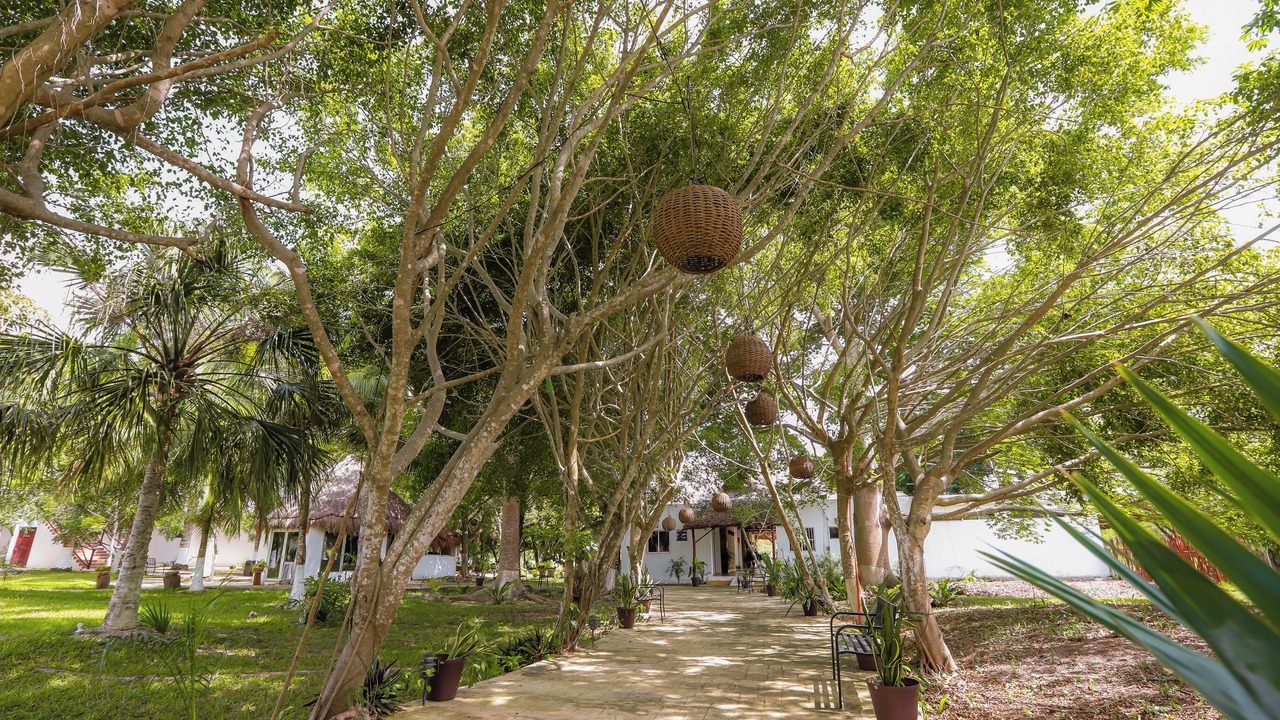 Photo of Outdoor in Chetumal