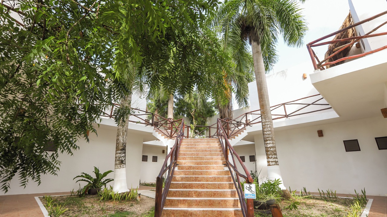 Photo of Others in Chetumal