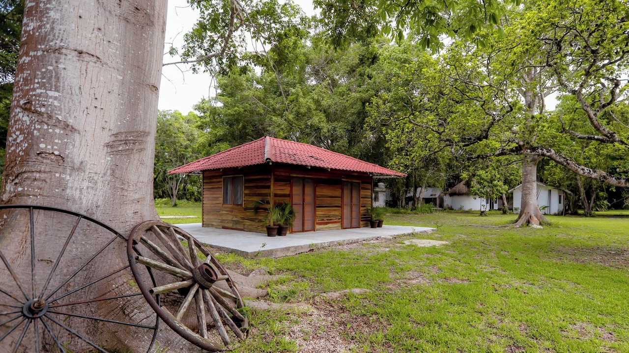 Photo of Outdoor in Chetumal