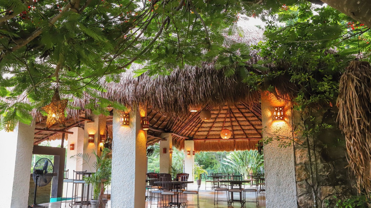 Photo of Others in Chetumal