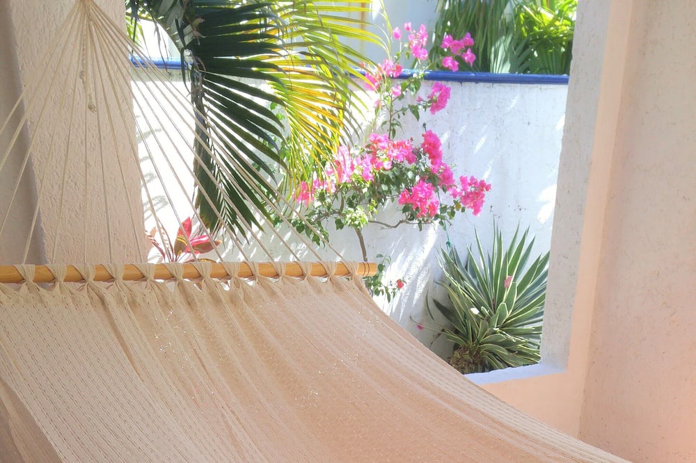Photo of Others in Puerto Morelos