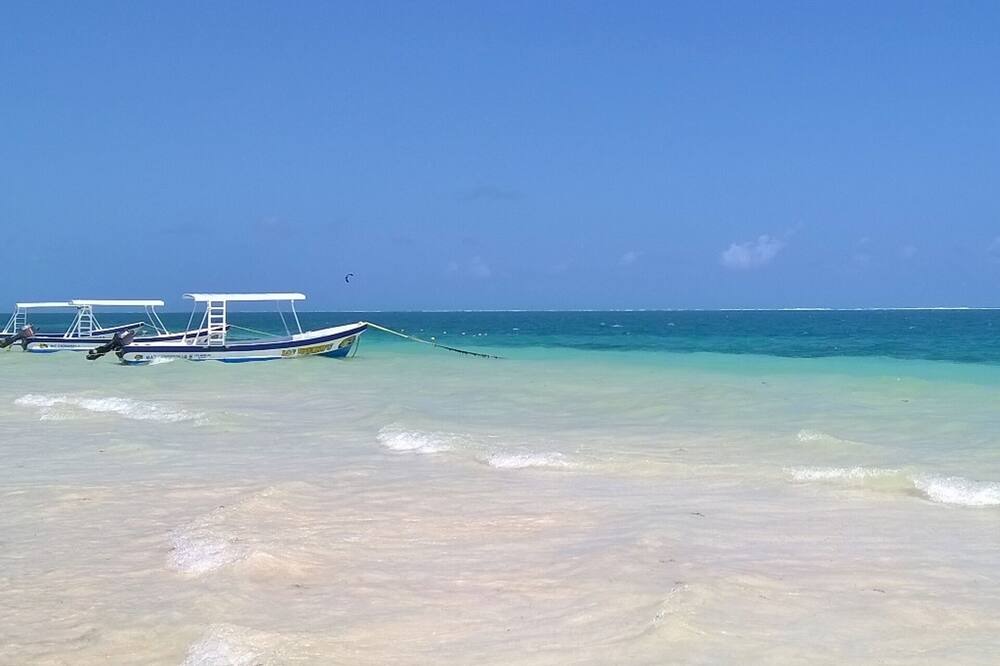 Photo of Others in Puerto Morelos