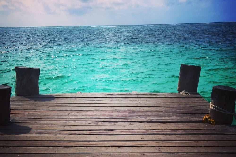 Photo of Others in Puerto Morelos