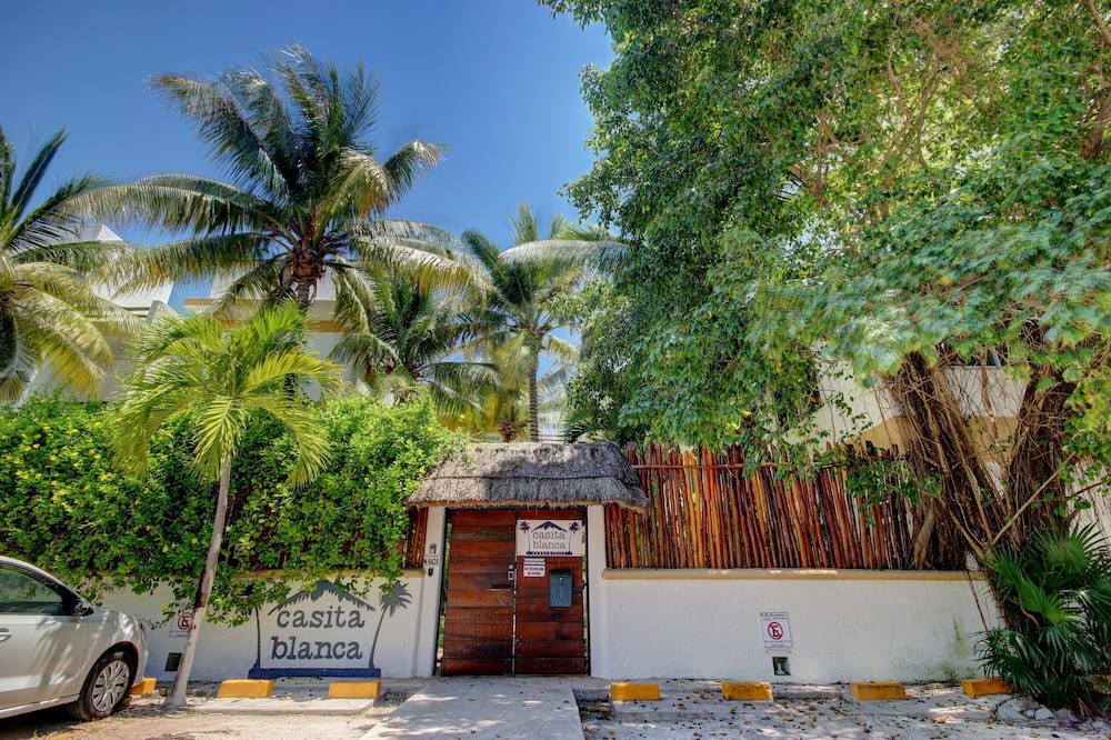 Photo of Others in Puerto Morelos