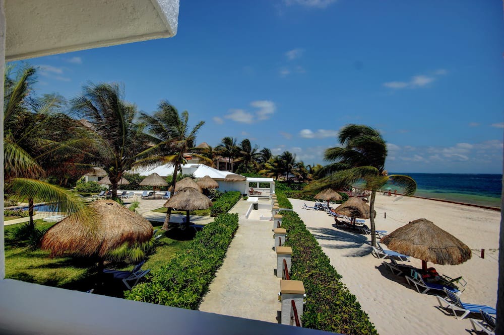 Photo of Others in Puerto Morelos
