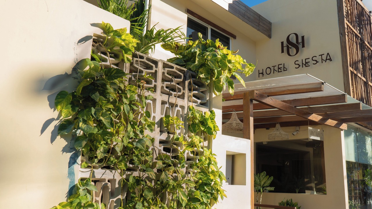 Photo of Outdoor in Downtown Holbox