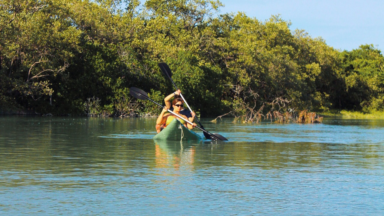 Photo of Others in Downtown Holbox