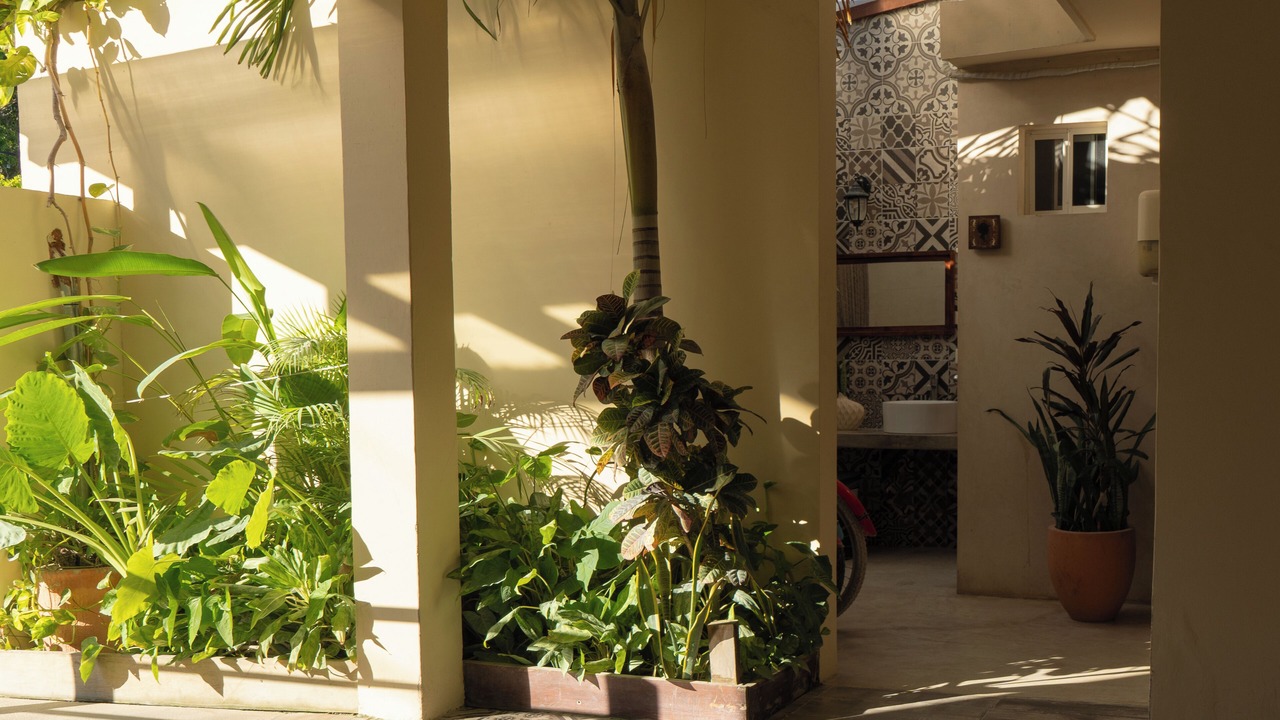 Photo of Others in Downtown Holbox