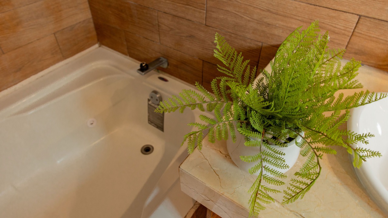 Photo of Bathroom in Majahual