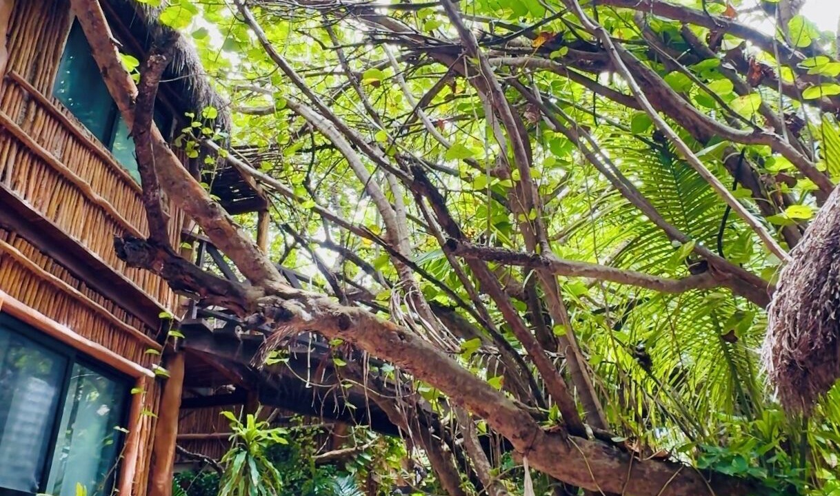Photo of Others in Zona Hotelera
