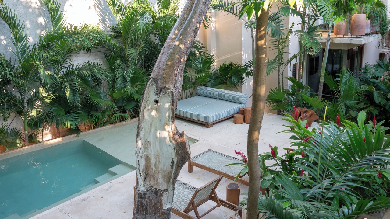 Photo of Outdoor in Barrio de Santiago