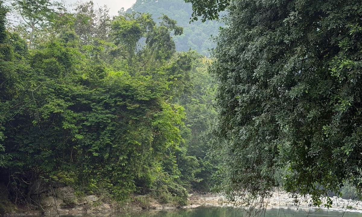 Photo of Outdoor in Teapa