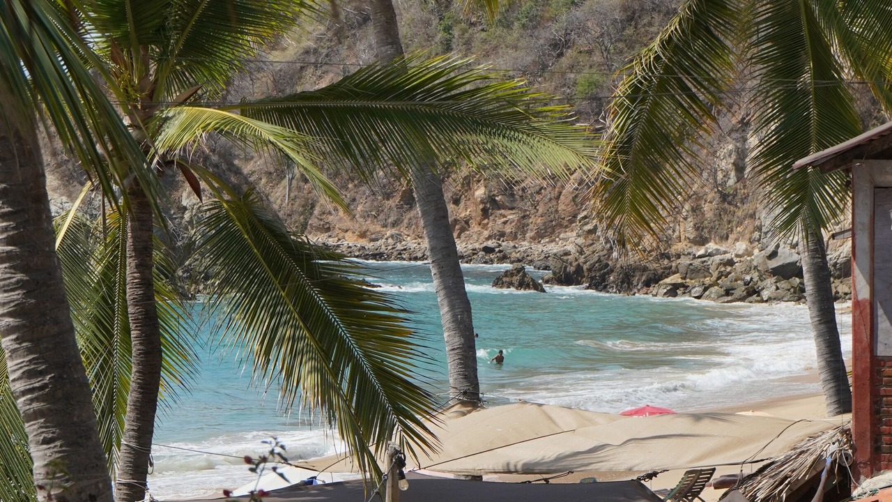 Photo of Others in Mazunte