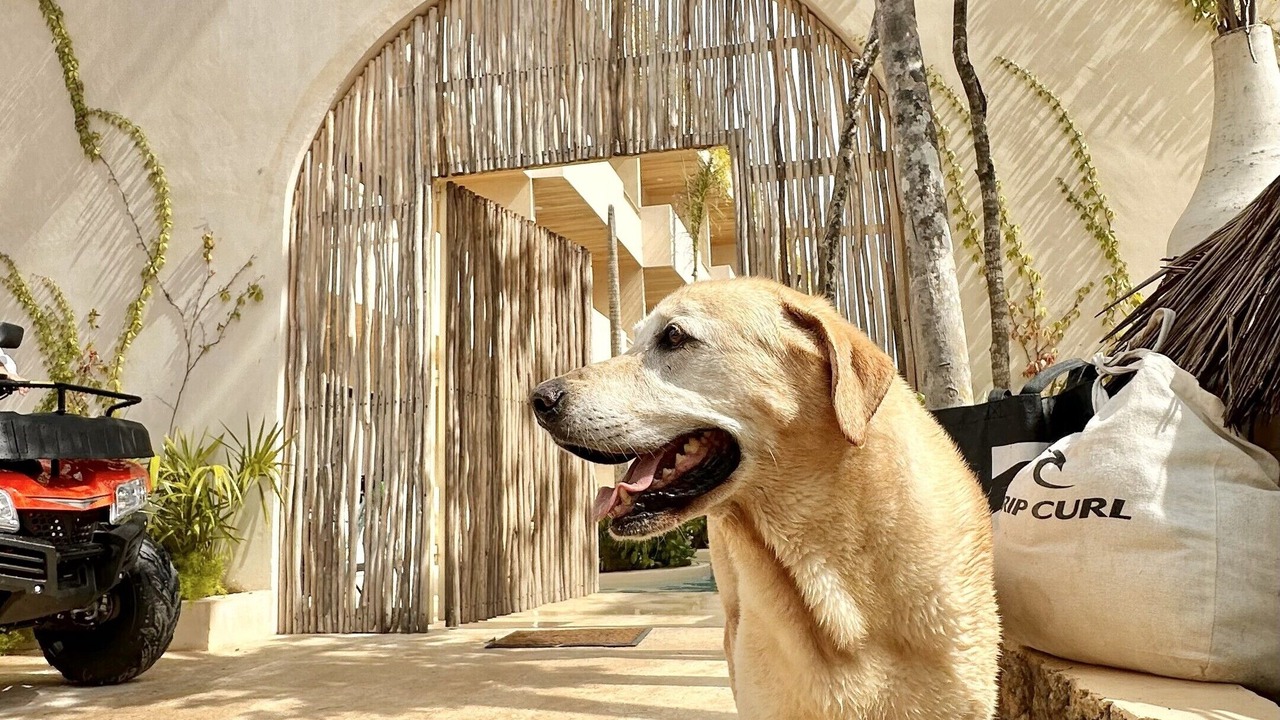 Photo of Outdoor in Tulum