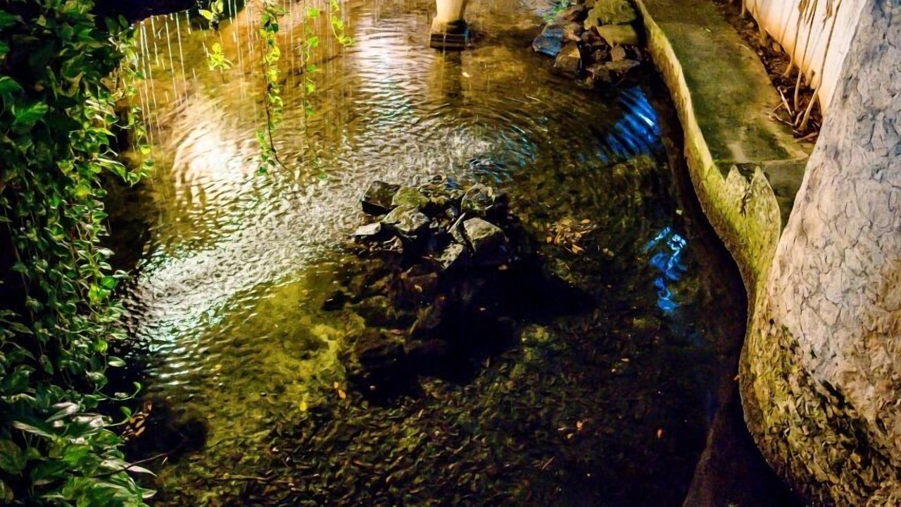 Photo of Outdoor in Downtown